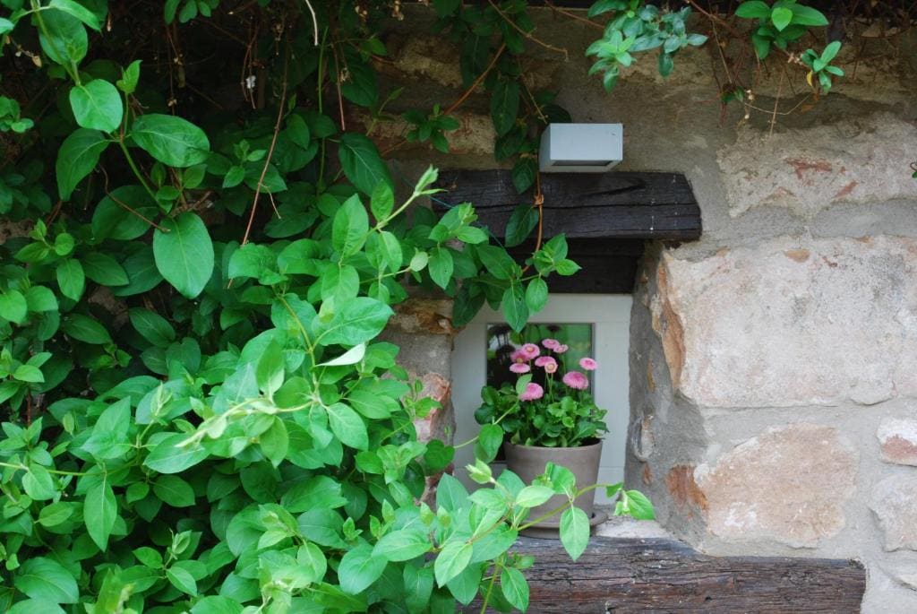 B&B Le Lodge - Vista 7