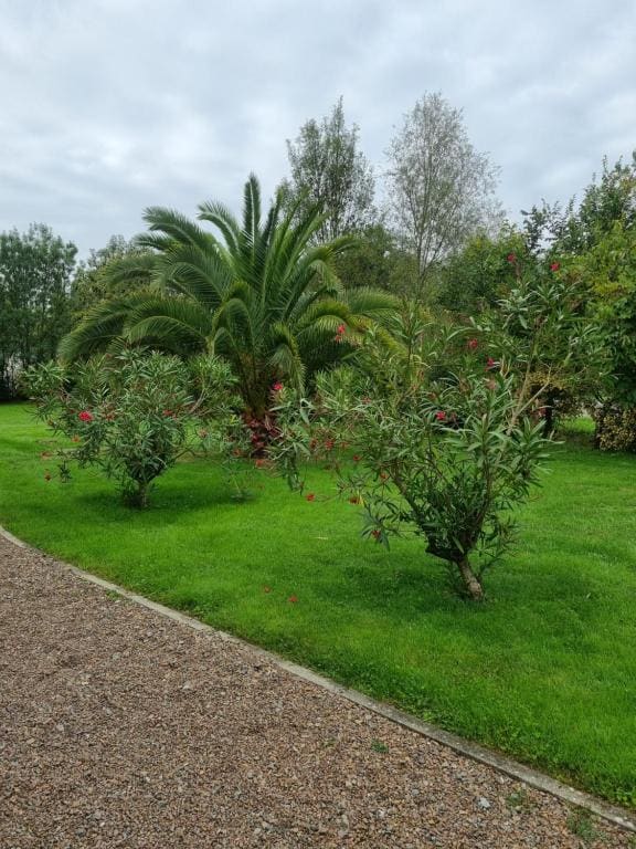 Le logis du marais - Main view
