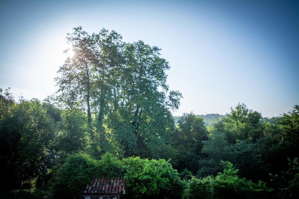 Les Chemins de Berdis - View 2