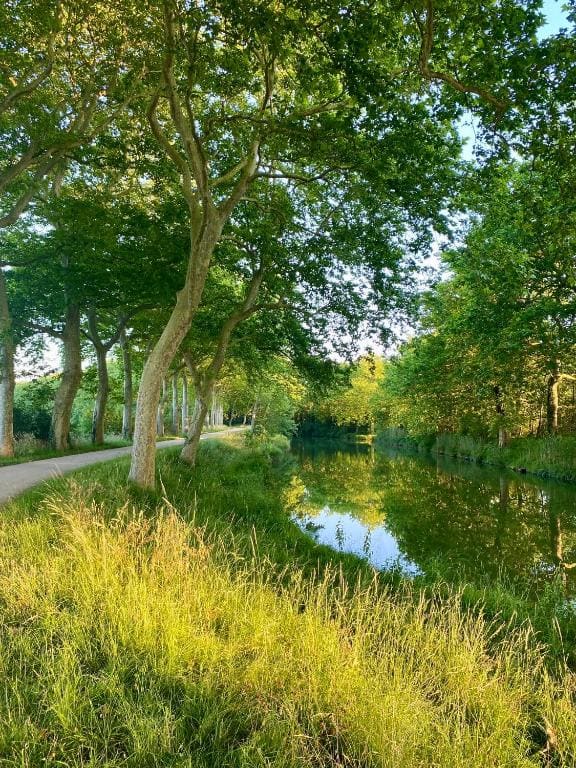 Les gites du tilleul - Vista 3