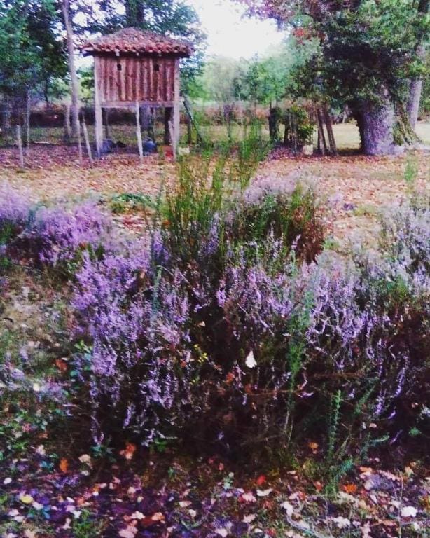 Les Hotes Des Guillemets - View 6