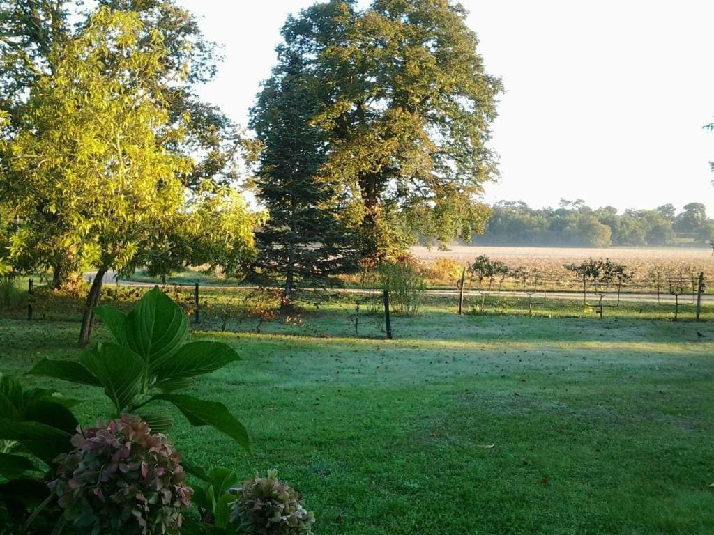 Les Hotes Des Guillemets - View 7
