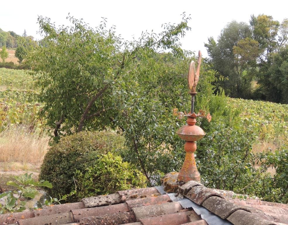 Les treilles d'en Peyre — Ansicht 4
