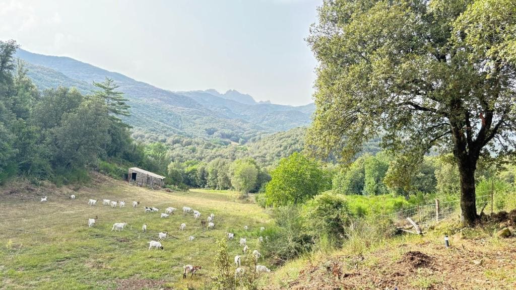 Lodge A NASSA - View 6