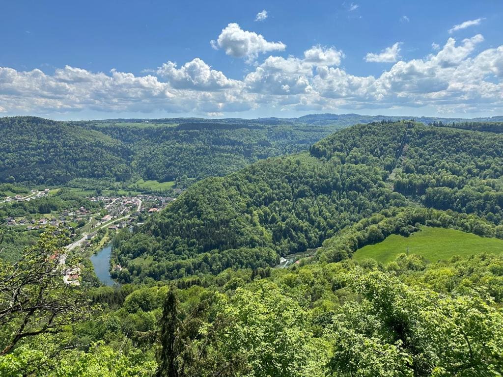 Logis des pinces maillées - View 7