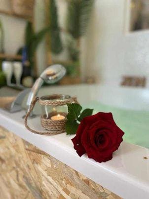 LOVER'S ROOM TROPIC - Main view