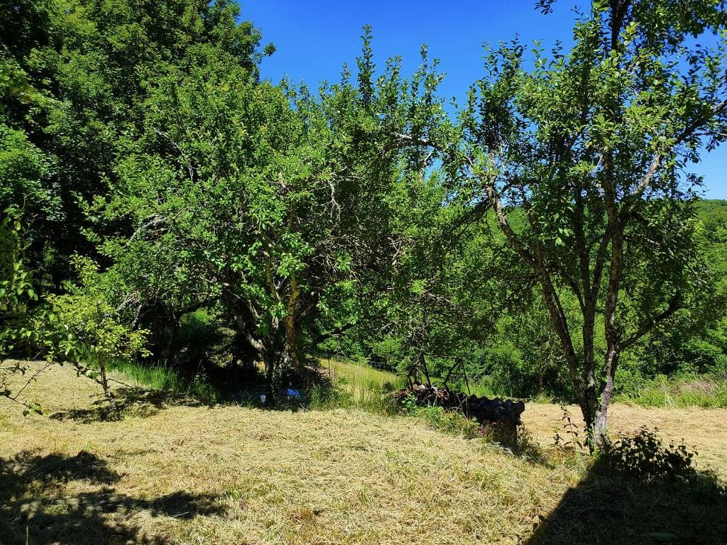 La Combe aux oiseaux - Vista 7
