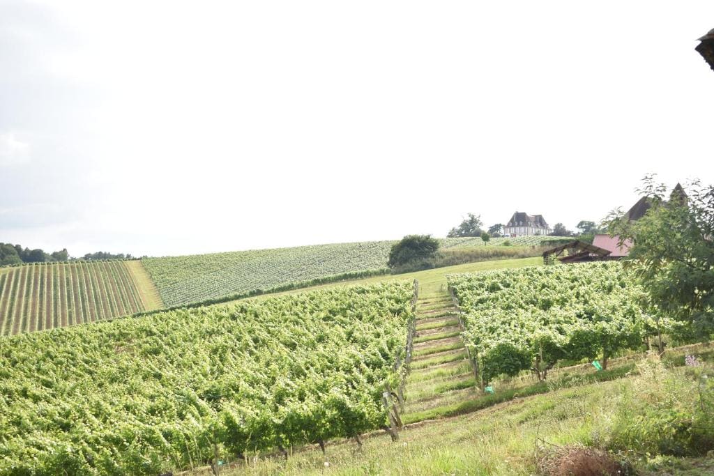 Maison Hormidas - View 5