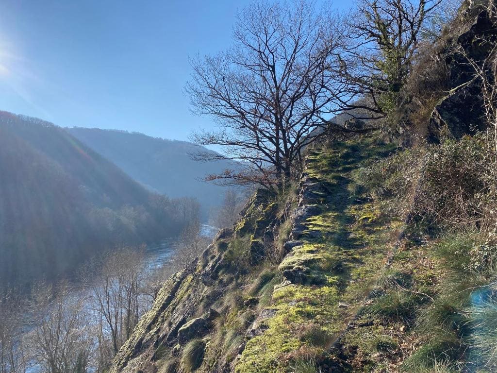 Malrieu - View 4