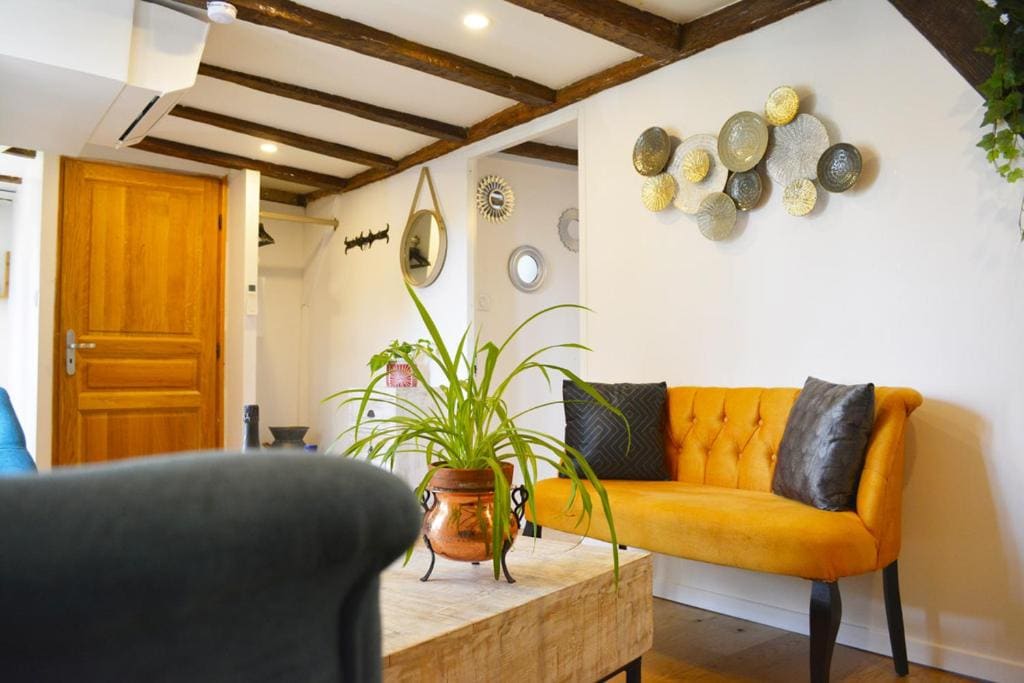 Manoir Drissia - Tours Centre, France - View 7