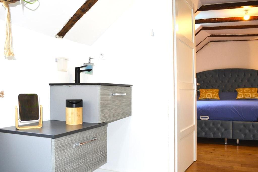 Manoir Drissia - Tours Centre, France - View 5