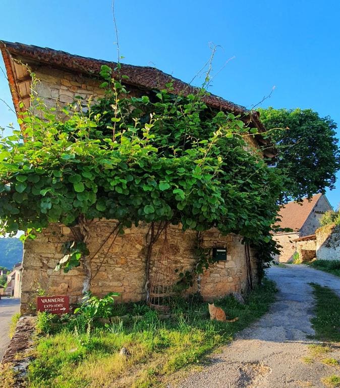 L'Oseraie du Quercy - View 7