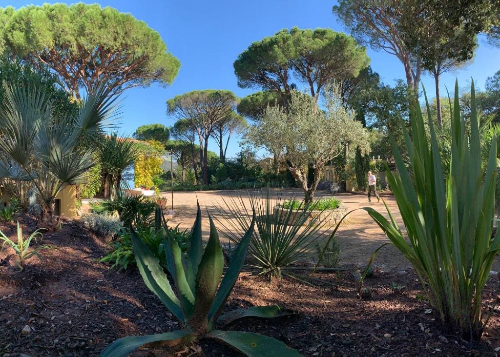 Sous les pins parasols - View 7