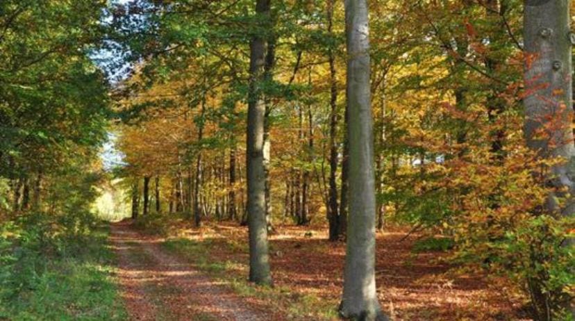 Sur la route des peintres - Main view