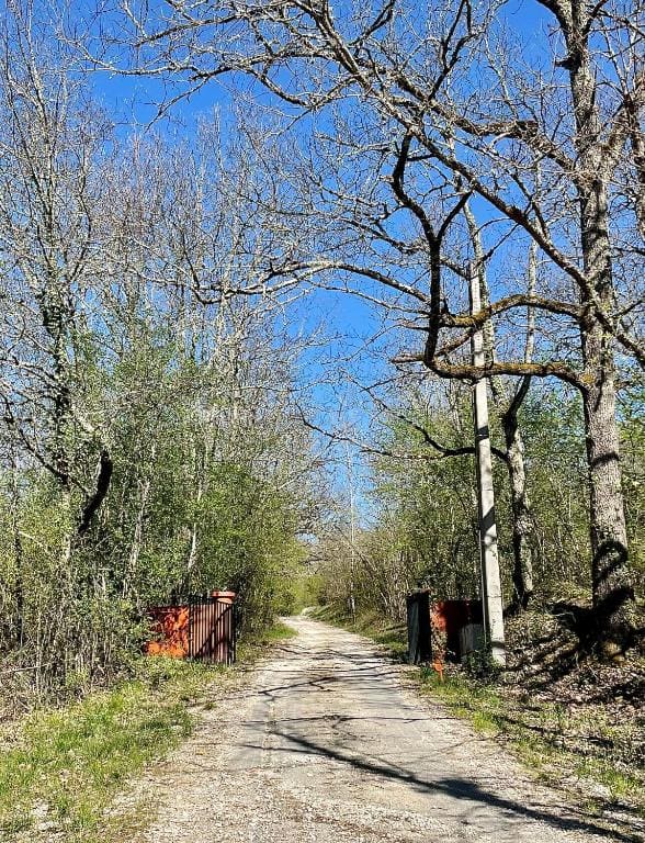 Chambres d hotes, la maison de Kat - View 2
