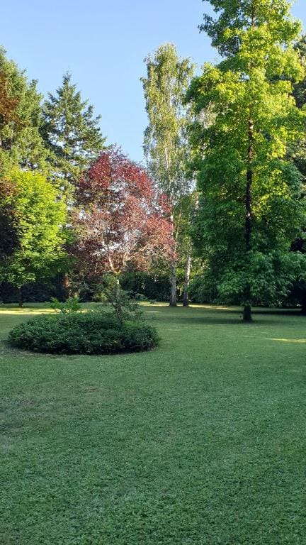 Verdure tourangelle - View 2