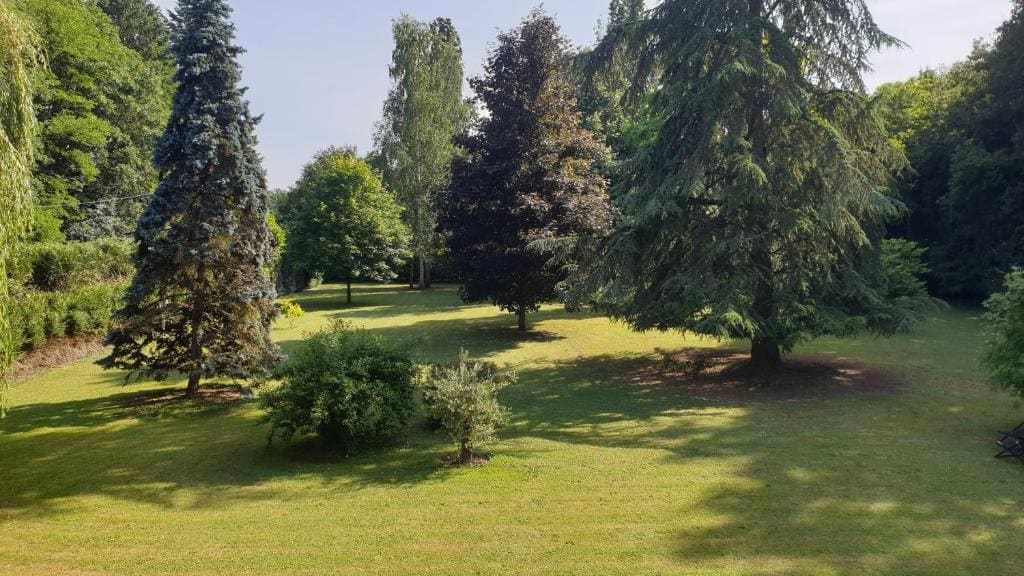 Verdure tourangelle - View 3