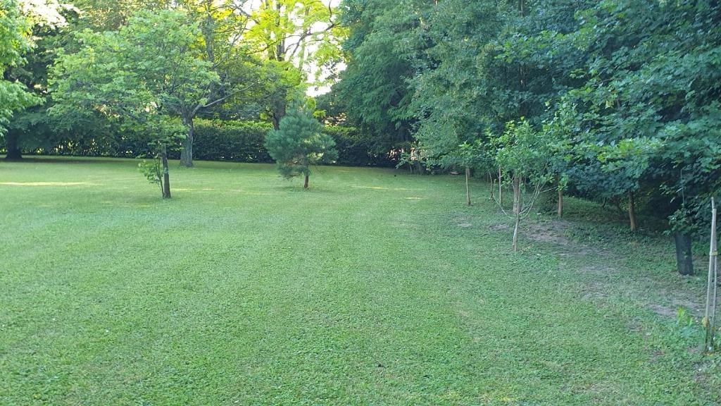 Verdure tourangelle - Main view