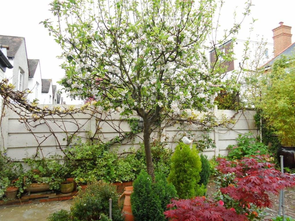 Compton Guest House - View 6