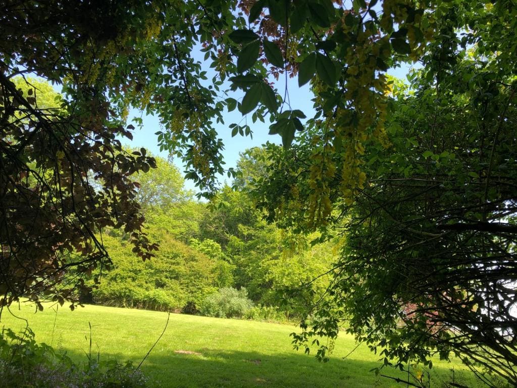 Forse of Nature - View 6