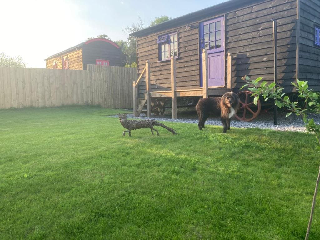 Fox lodge Shepherd Hut Sidmouth - View 4