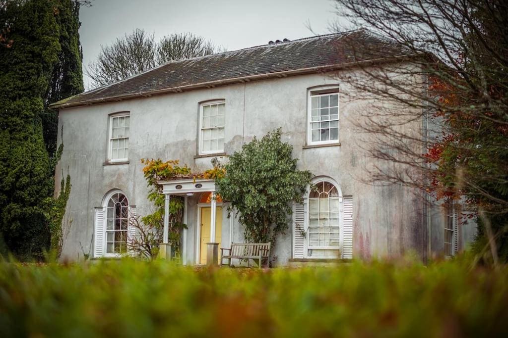 Gelly Dylan Thomas Paradise - Main view