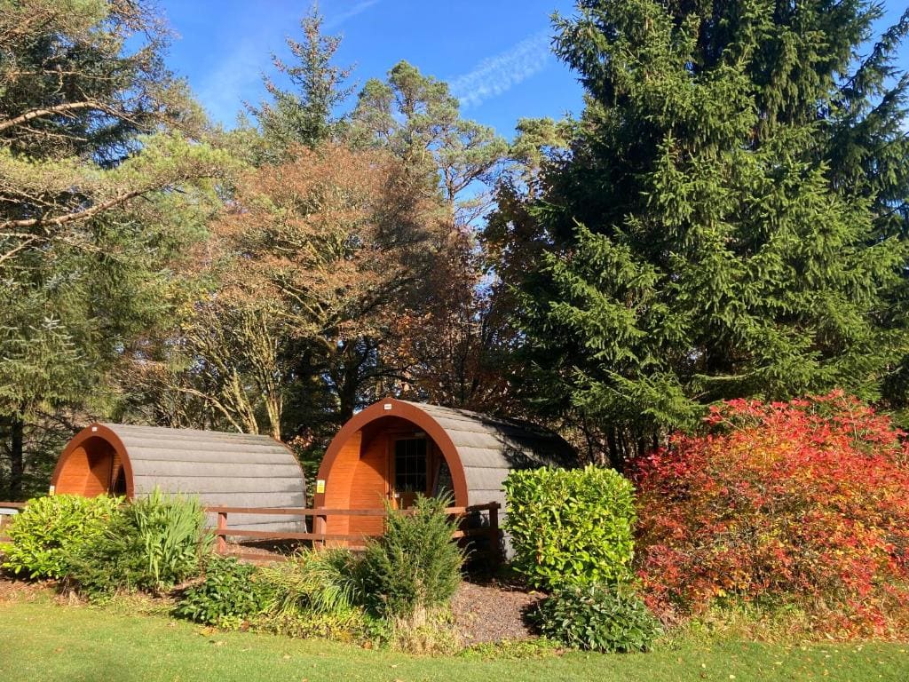 Glamping Hut - By The Way Campsite - View 3
