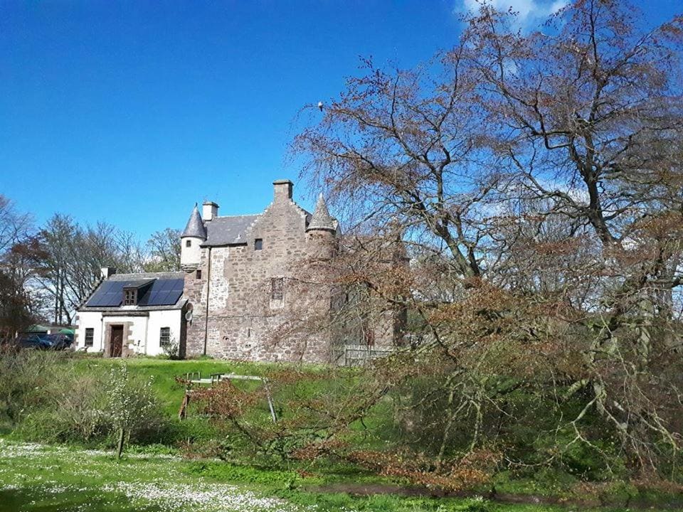 Hallgreen castle - View 6