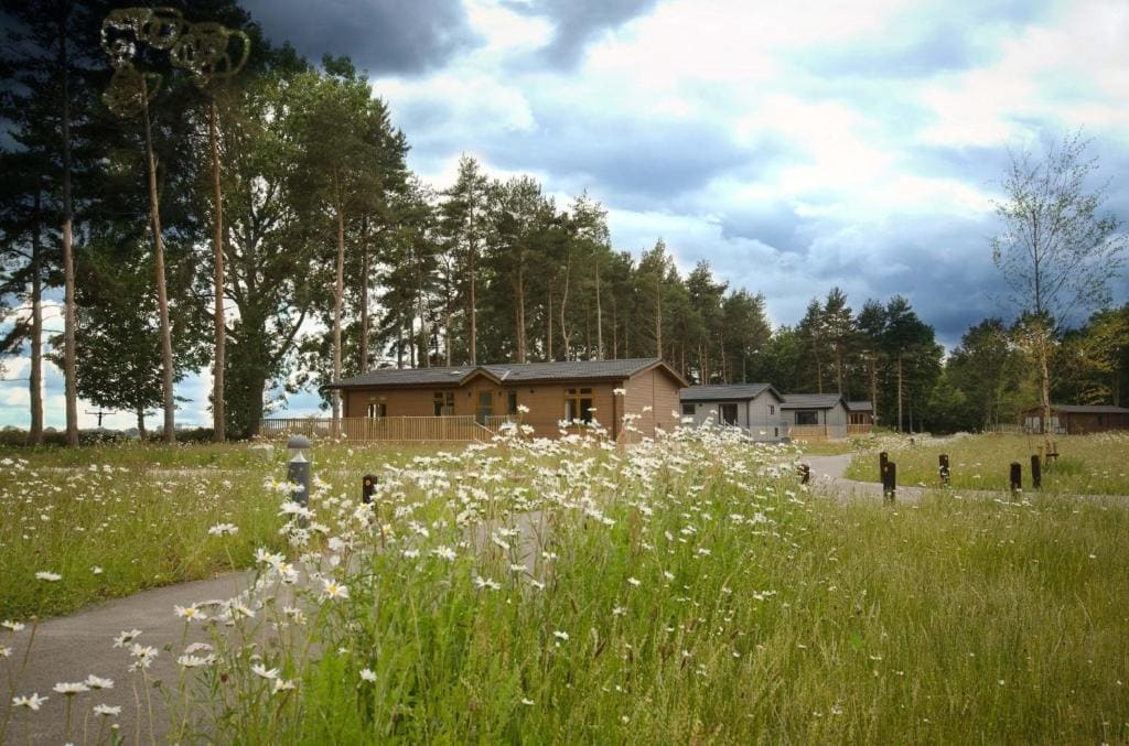 Hollicarrs - Cherry Blossom Lodge - Main view