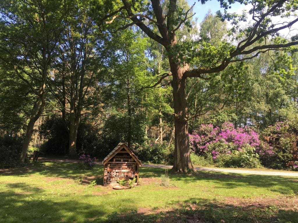 Hollicarrs - Honeycomb Lodge - View 5