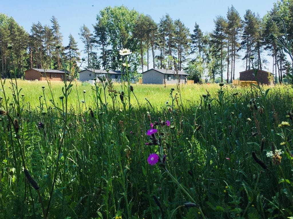 Hollicarrs - Honeycomb Lodge - View 6