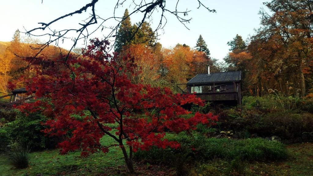 Invergloy Riverside Lodges - Foto 6