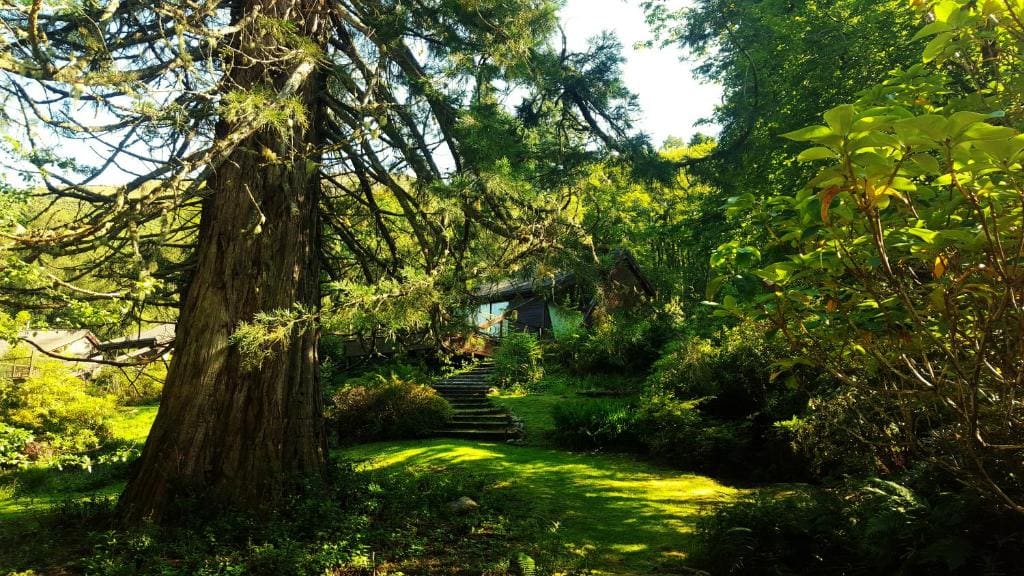Invergloy Riverside Lodges - Foto 4