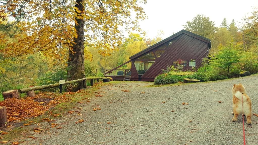 Invergloy Riverside Lodges - Foto 5