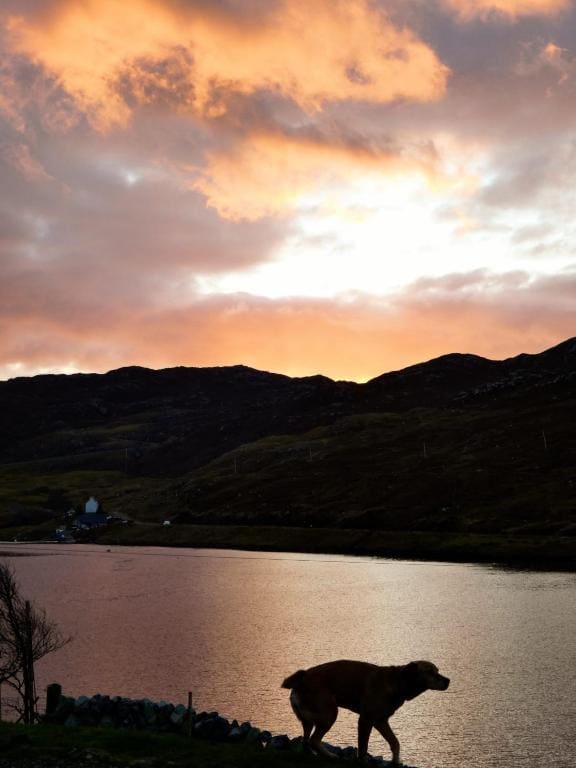 Lochedge Lodge - Main view