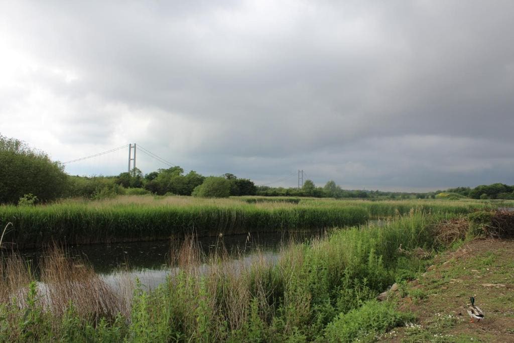 Marshlands Lakeside Nature Retreat - View 2