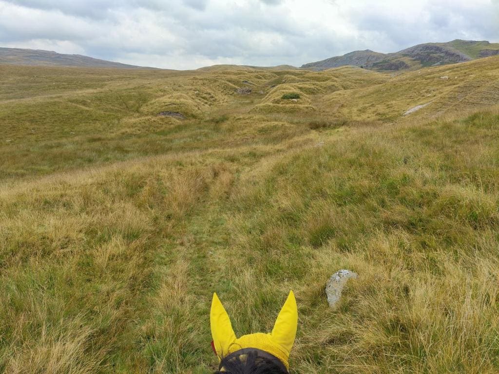 Pentre Riding Stables - View 7