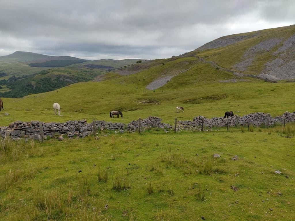 Pentre Riding Stables - View 4