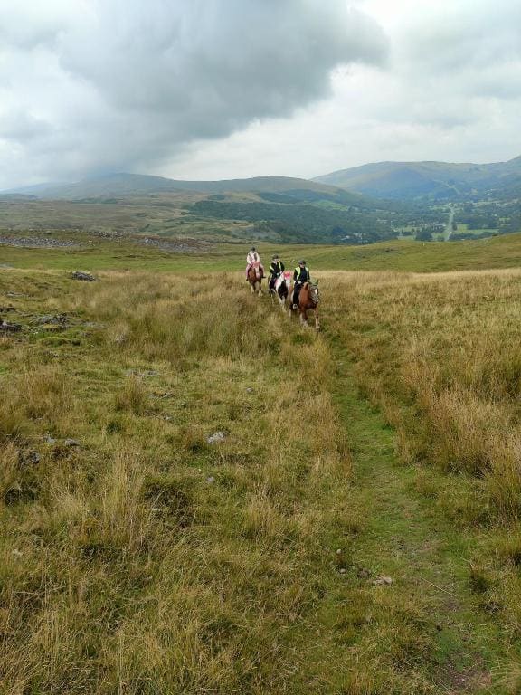 Pentre Riding Stables - View 6