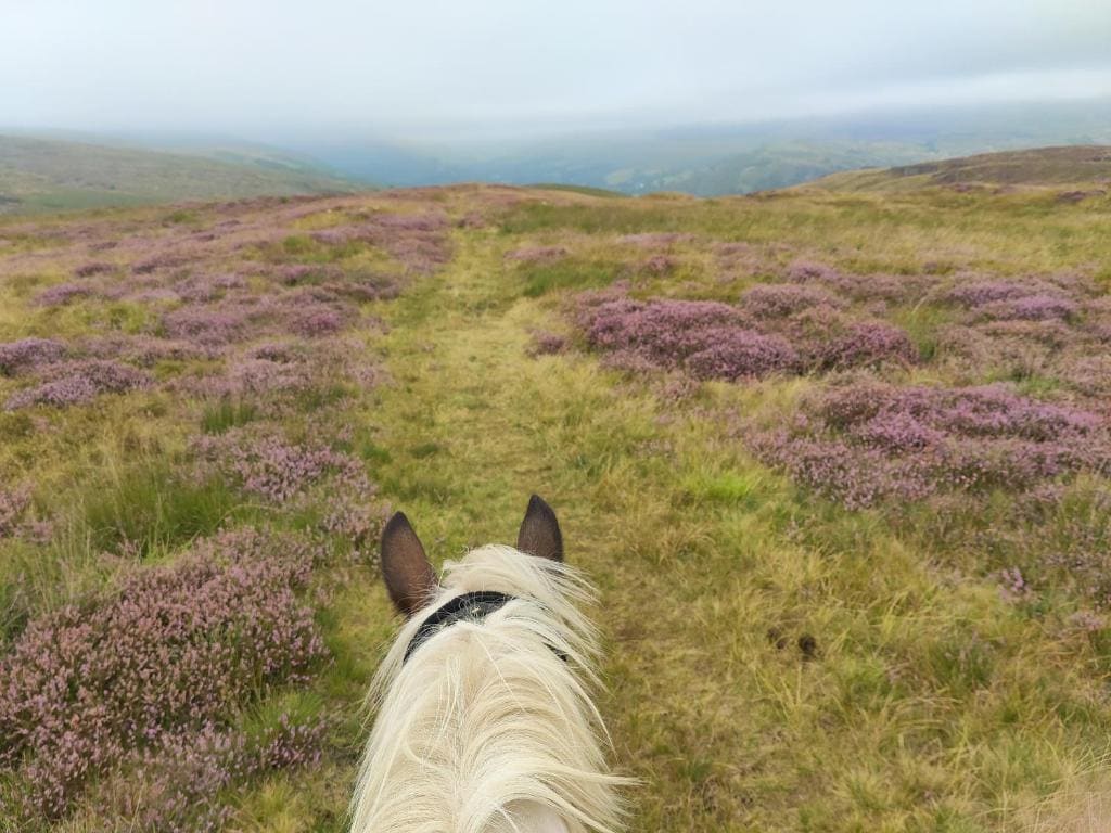 Pentre Riding Stables - View 5