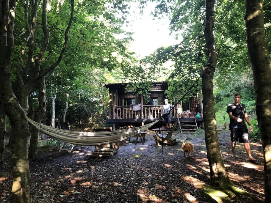 Secret Woodland Hideaway for two - Main view