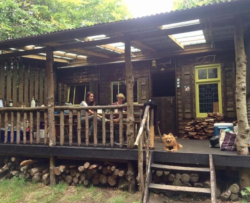 Secret Woodland Hideaway for two - View 3