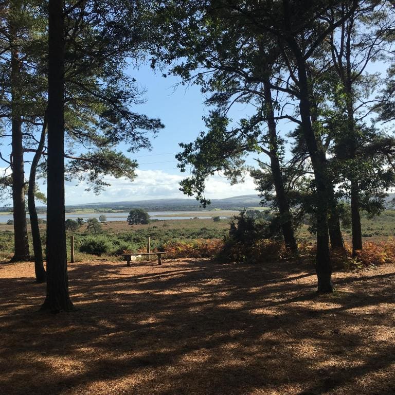 Spurwing Guest House - Vista 4