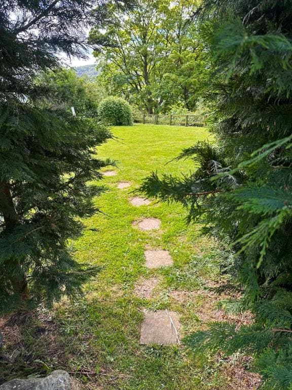 Sunbank Yurt - View 4