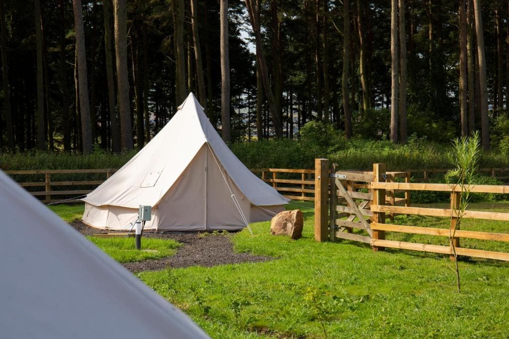 Tent 3 - View 3