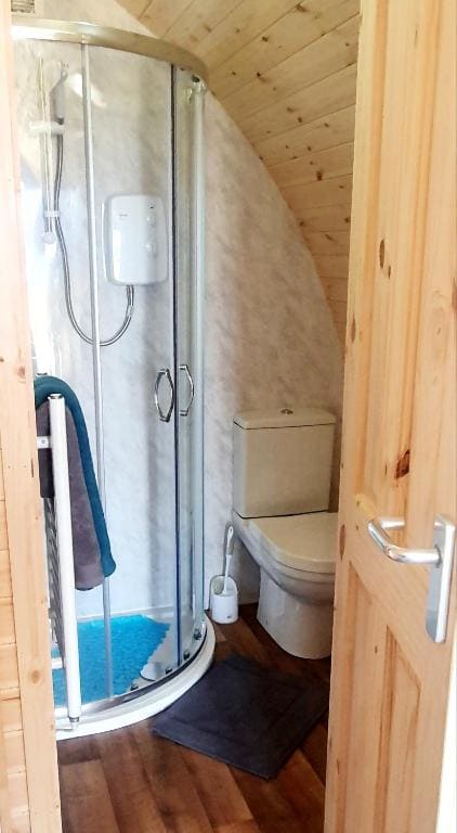 The Pod at Hollingwell House - Glamping NC500 Edderton - View 3