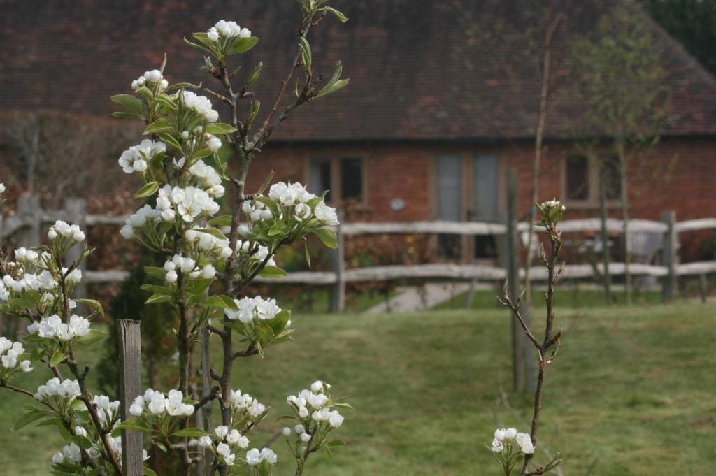 Three Chimneys Farm Accommodation - View 3