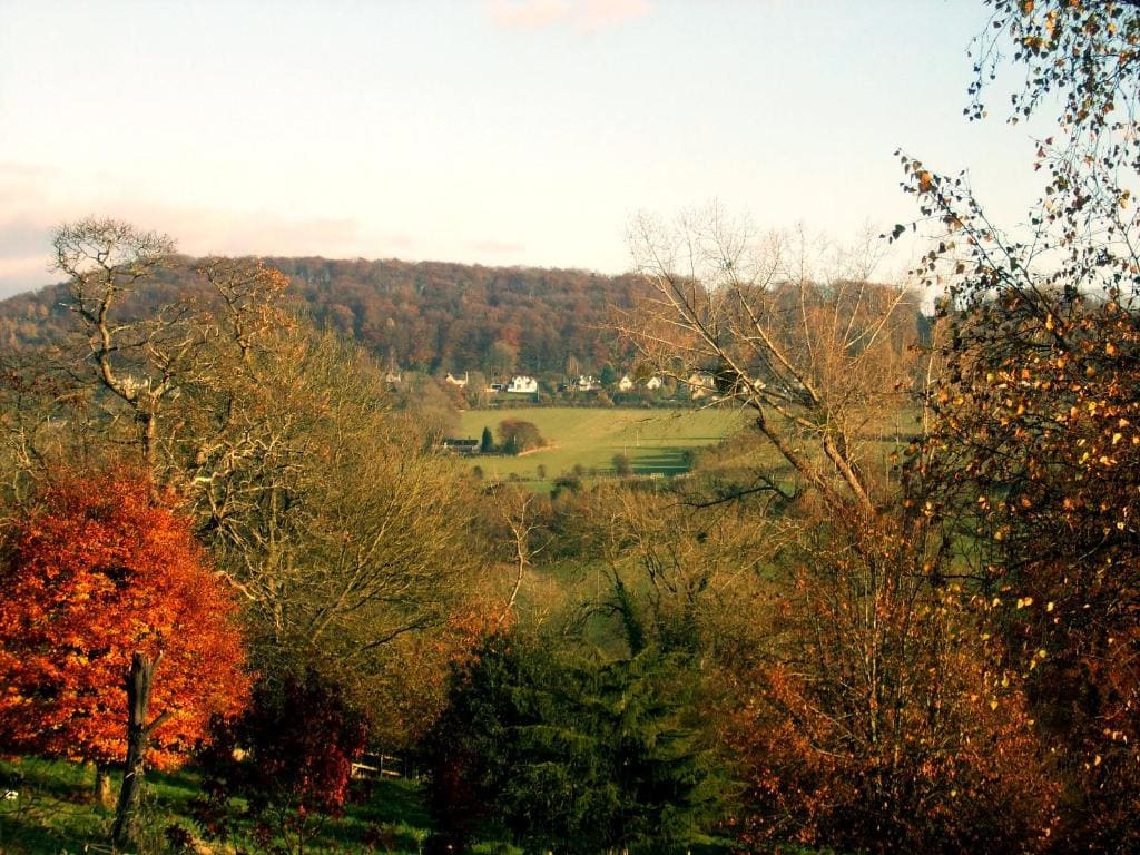 Tibbiwell Lodge - View 5