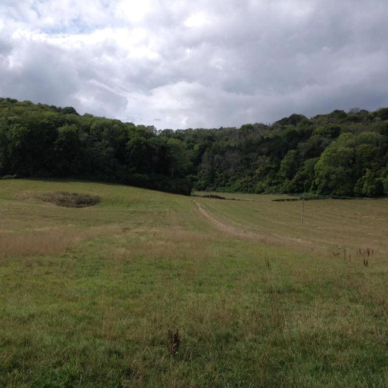 Up at the Barn - View 4