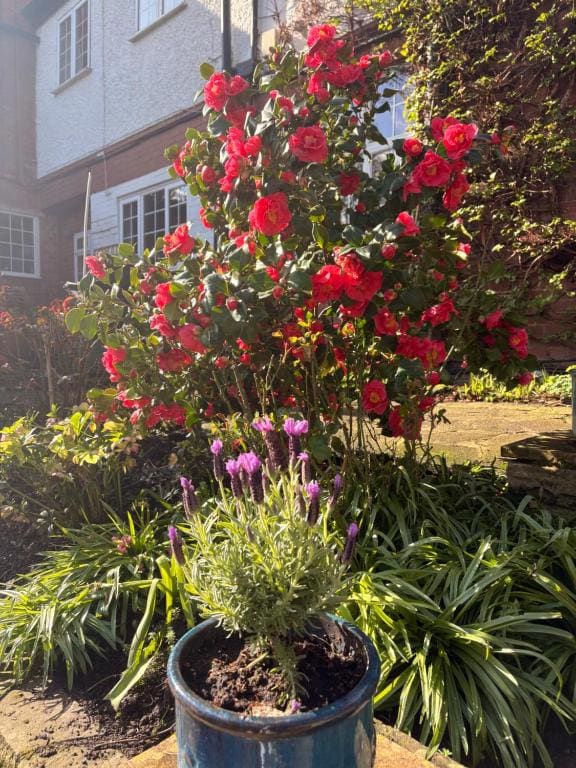 Westbourne Lodge Birmingham - View 2